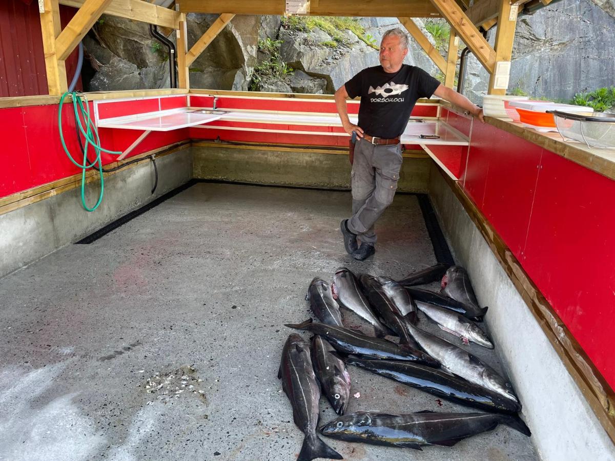 Kyrping Camping Eksteriør billede